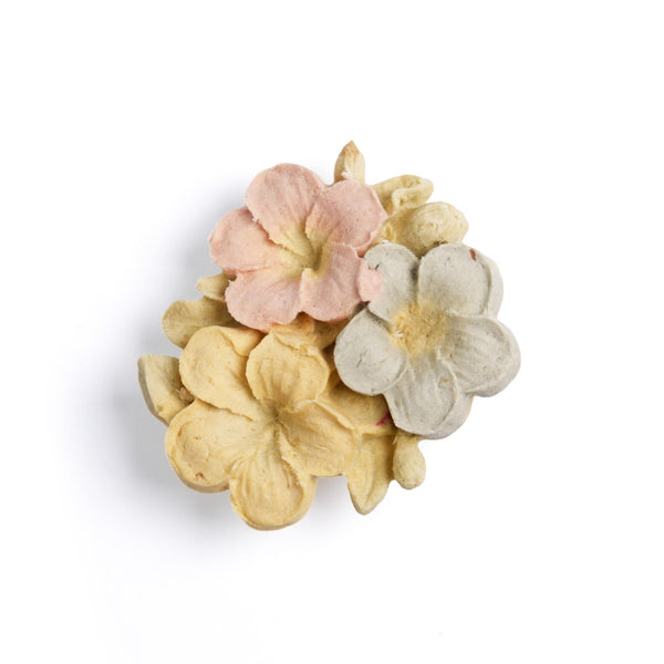 Plumeria Cheese Crispies - NOOOOK