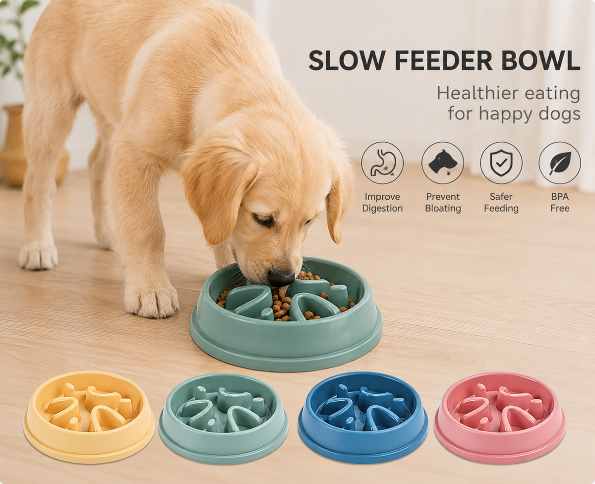 Slow Feeder Dog Bowl